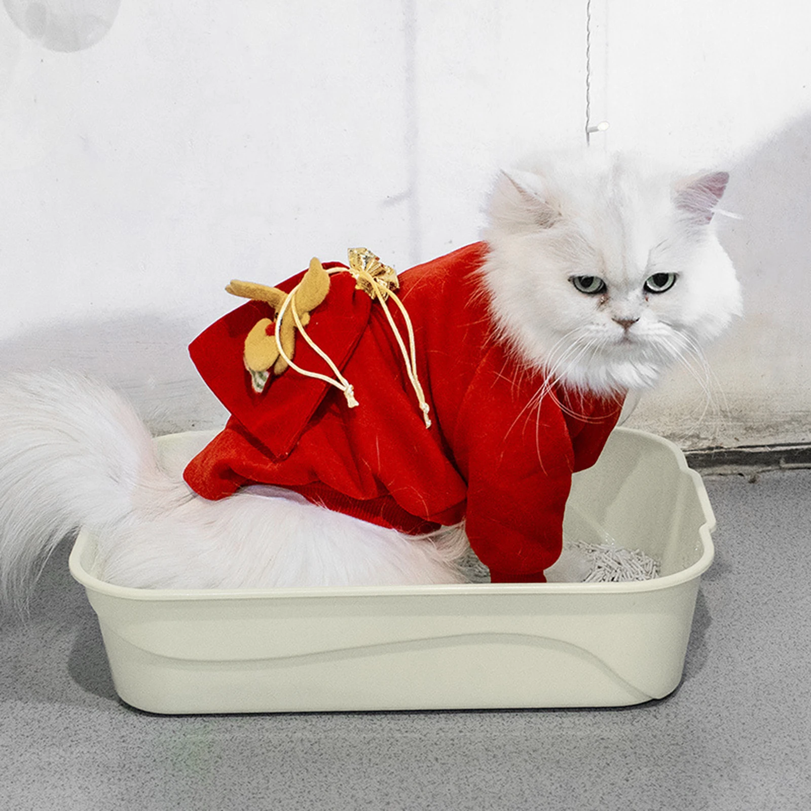Cat Litter Box 3