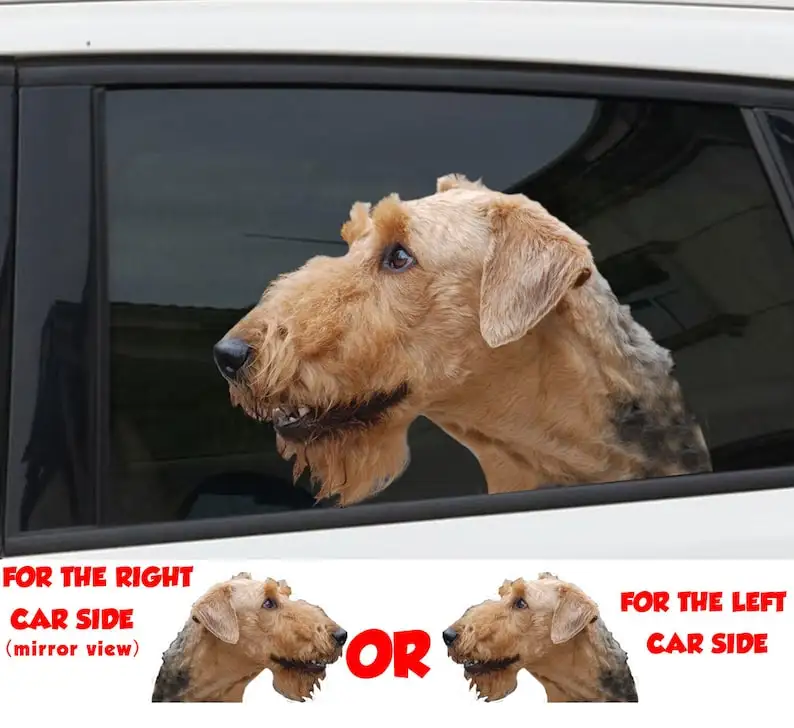 

Наклейка на окно Airedale Terrier, 3D наклейка, забавная наклейка, наклейка Airedale