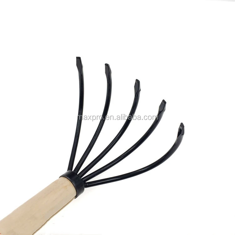 일본 닌자 발톱, 정원 갈퀴, 작은 5 가지 나무