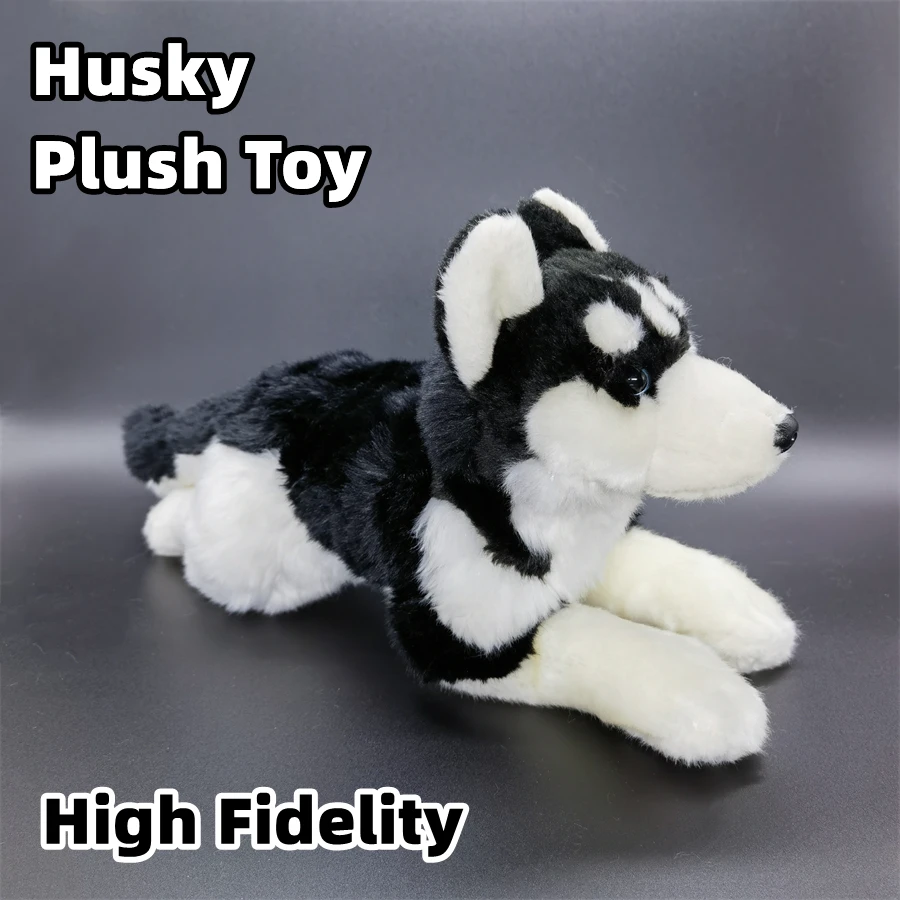 https://ae01.alicdn.com/kf/S3a10aadeaa644ab3b36713270c0b28b8n/Husky-Dog-High-Fidelity-Anime-Cute-Plushie-Eskimo-Sled-Dog-Plush-Toys-Lifelike-Animals-Simulation-Stuffed.jpg