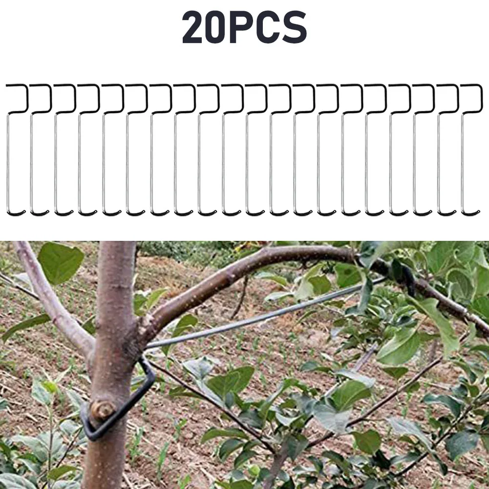 Fruit Tree Branches Holder Plant Support Fruit Branch Spreader Tree