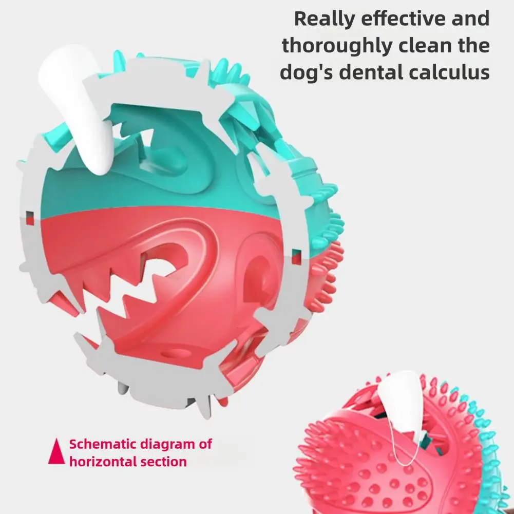 Interactive Dog Chew Toy 4