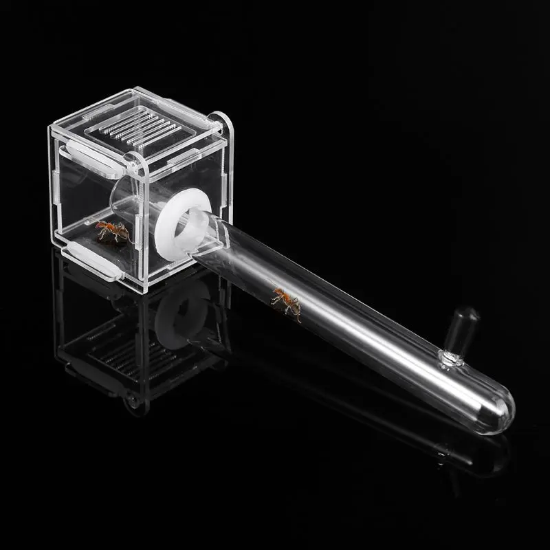 

Mini Nest Small Colony Feeding Nest with Test Tube Plane Nest Farm House