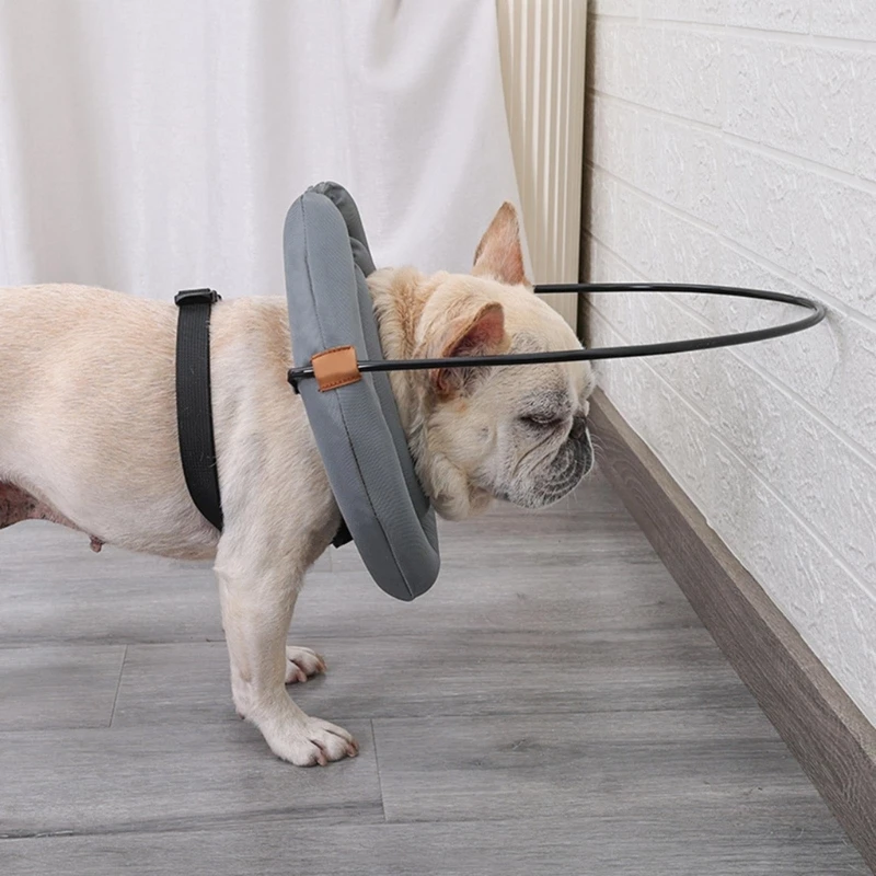 Blind Dog Bumper Blind Dog Harness Guiding Device Supply