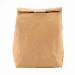 Foldable Waterproof Insulated Lunch and Picnic Bag (A)