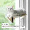 Mewoofun Cat Window Perch Hammock with Climbing Steps and Scratching Post Wooden Window Mounted Cat Bed for Indoor Cats 3