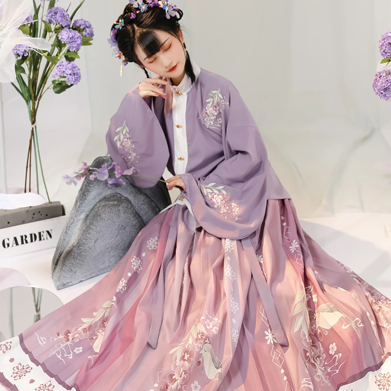 Hanfu Clothe Ming Dynasty Women Traditional Chinese Clothing Stand Collar Pleated Skirt Outfit
