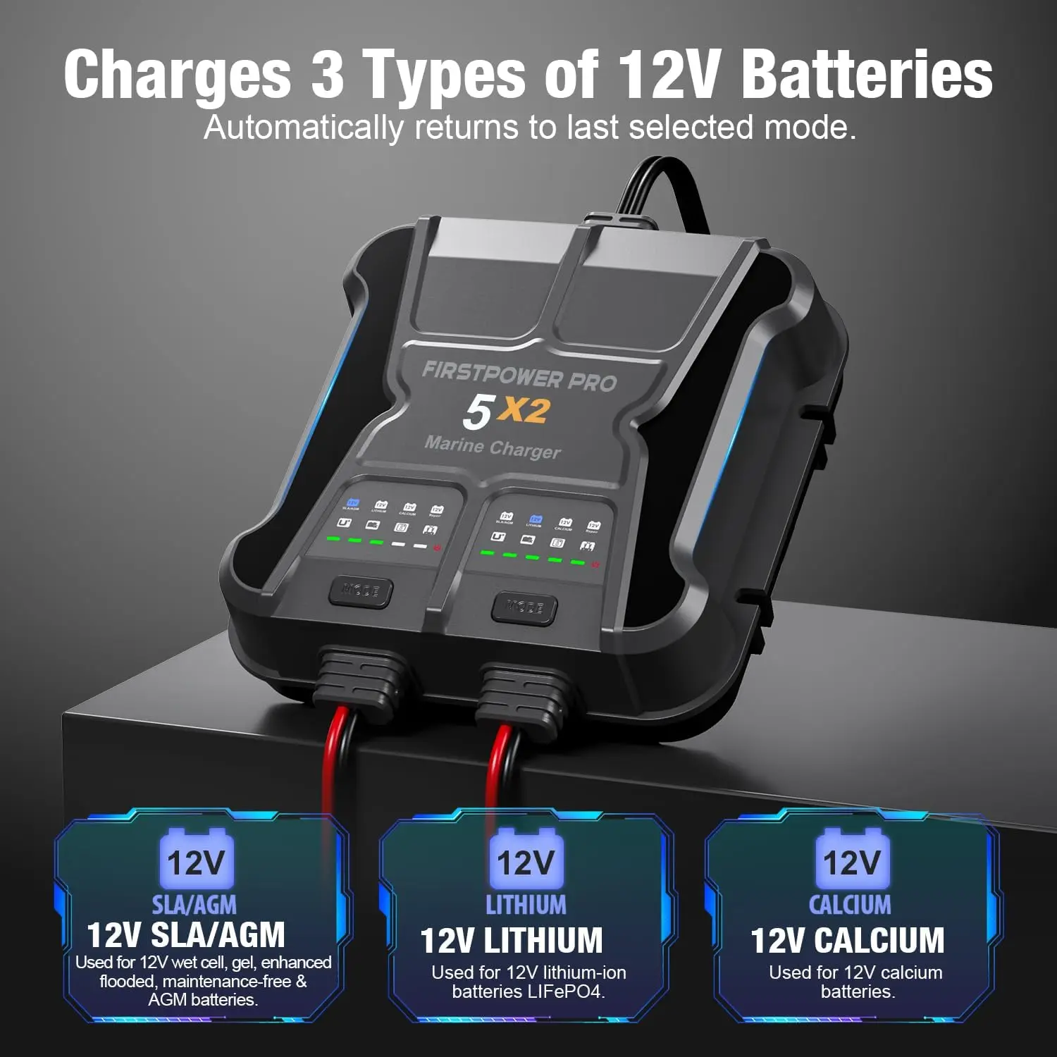 2 Bank Battery Charger 5X2, 10A (5A/Bank)-12V Waterproof Onboard Battery Charger, Maintainer & Desulfator for S