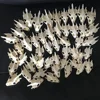 1pcs Pieces of Sea Turtle Skull Crafts Jewelry, Educational Taxidermy Monster Skull Specimen Collection 4