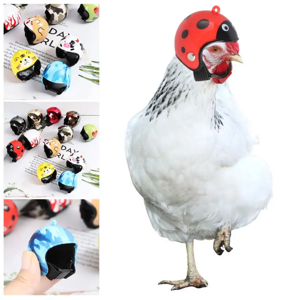 ABS Pet Supplies Accessories Sun Rain Protection Hats Pet Protective Headgear Chicken Helmet Bird Protect Cap