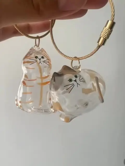 LINBLIF 6 Pcs Cat Fur Memorial Keychain - Acrylic Keepsake Capsule For Pet Hair, Portable Memory Pendant