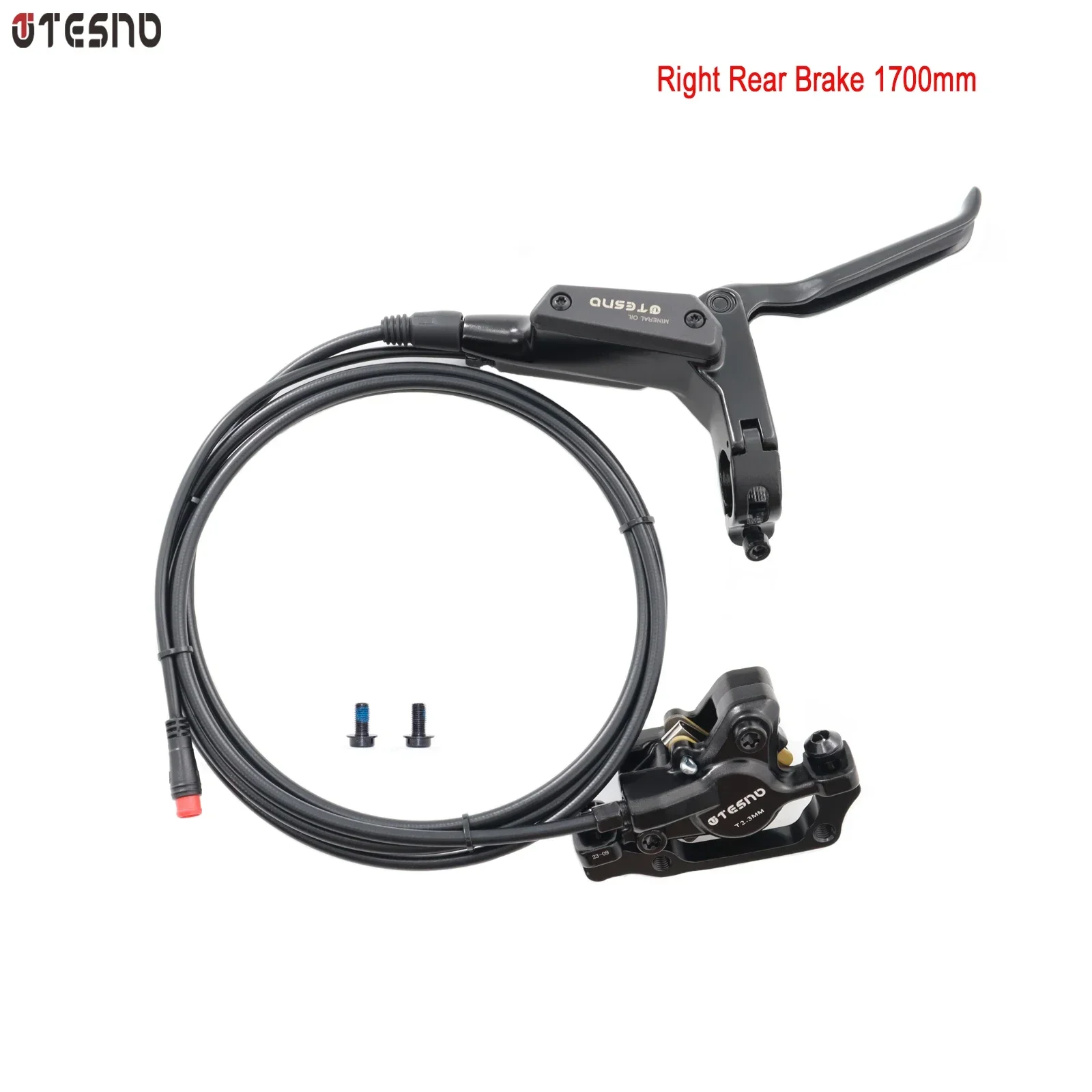 Right Rear