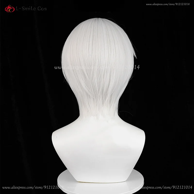 Tomoe Cosplay Perücke Silberweiß Unisex Anime Wig Hitzebeständig mit Ohren 24