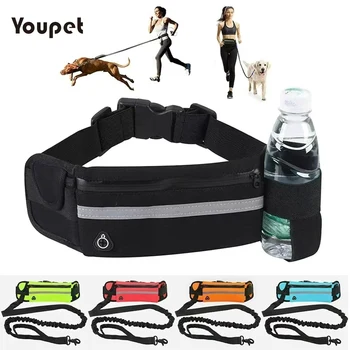 Dog Running Waist Leash Nylon Pet Leash with Waist Bag Retractable Elastic Belt Dog Traction Rope Reflective Belt Buckle 1