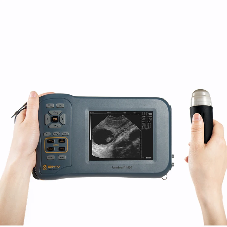 

Professional mmini pocket mobile vet ultrasound machine dog sonography handheld portable veterinary ultrasound with screen