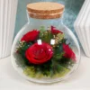 Micro Landscape Ecological Bottle Microlandscape Plants Light Bulbs Home Empty Glass Moss Planter Terrarium 6