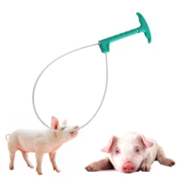 1 Pcs Pig Baoding Set Pig Fixed Rope Wire Ropes Sleeve Stockbreeding Tool Domestic Animal Mouth Set Veterinary Equipment 1