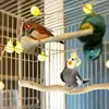 Bird Perch Toys Parrot Wooden Molar Cage Stand Stick Natural Wood Bird Accessories for Lovebirds Medium Parrots Budgies 2