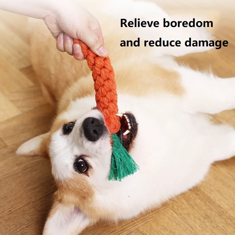Dog Toy With Squeaker Games For The Small Pet Toys For Puppies Interactive Dog Toys Plush Toy For Dog GWJ14_voghion.com