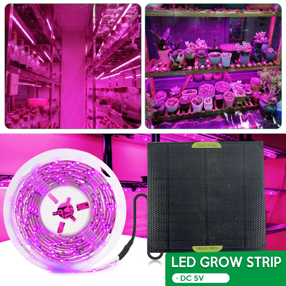 5m Solar Panel Full Spectrum Phyto Lamp 2835 SMD LED Plant Grow Light Strip
