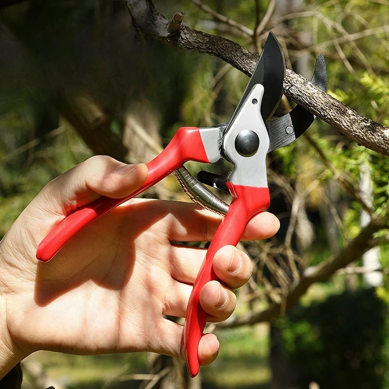 스테인레스 스틸 원예 가지치기 훌륭한 내구성 인체공학적 디자인으로 쉽게 식물 꽃 나무 가지 꽃무늬 분재 식물 절단