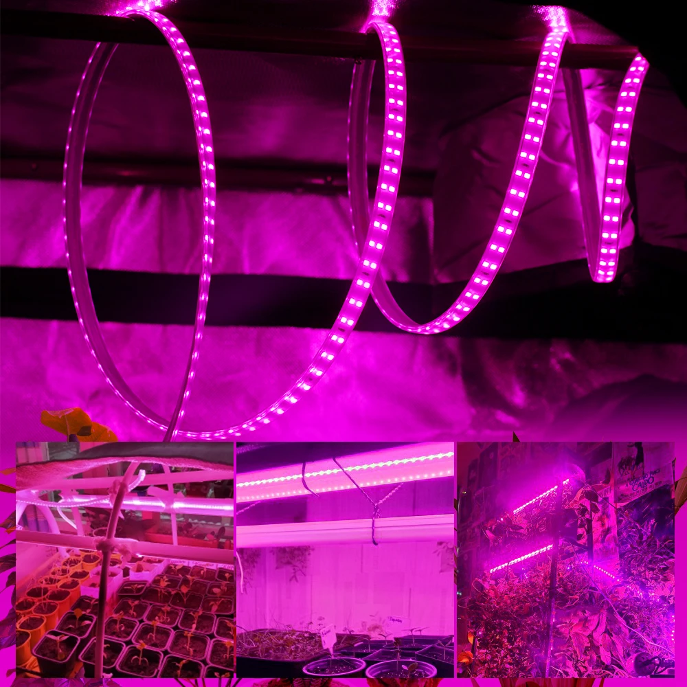 Taśma LED do wzrostu pełne spektrum dwurzędowe koraliki do lampy oświetlenie LED do uprawy AC220V lampa fito dla roślin kwiaty szklarnie hydroponiczne