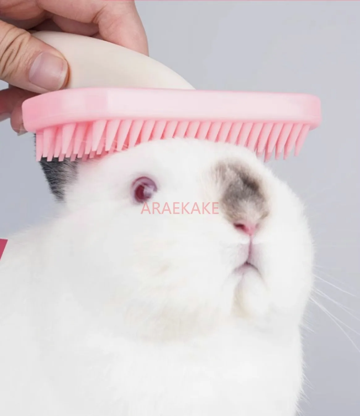 Small Pet Comb Rabbit Cat Silicone Hair Comb Special Tool Guinea Pig Dragon Cat to Remove Floating Hair