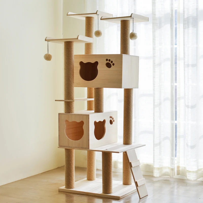 

Cat climber