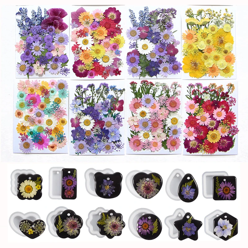 

Dried Flowers Real Natural Plant Pressed Flower For Epoxy Resin Filling DIY Keychain Pendant Silicone Mold Jewelry Making Crafts