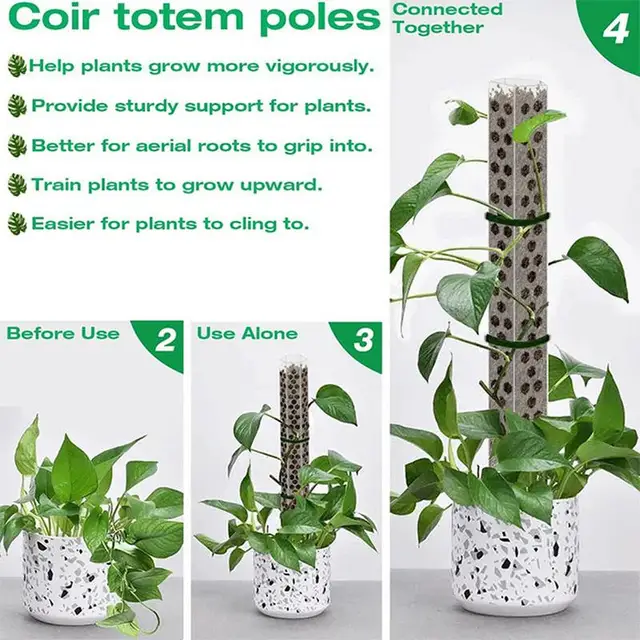 Műanyag Moha Pólus Üreges Tervezés Moss Botok Sphagnum Szőlő Támogató Bot Monstera Növényi Tartó Keret A Mászó Növényhez - Image 4
