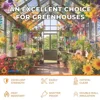 Greenhouse Panels 8mm Twin Wall Polycarbonate Roof Sheets 0.32" Clear Shatterproof UV Protection Shatterproof Insulation Optimal 2