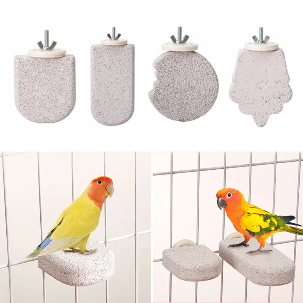 Pumice Parrot Stand Board Claw Grinding Tooth Grinding Bird Perch Stand Detachable Birdcage Accessories Bird Resting Platform