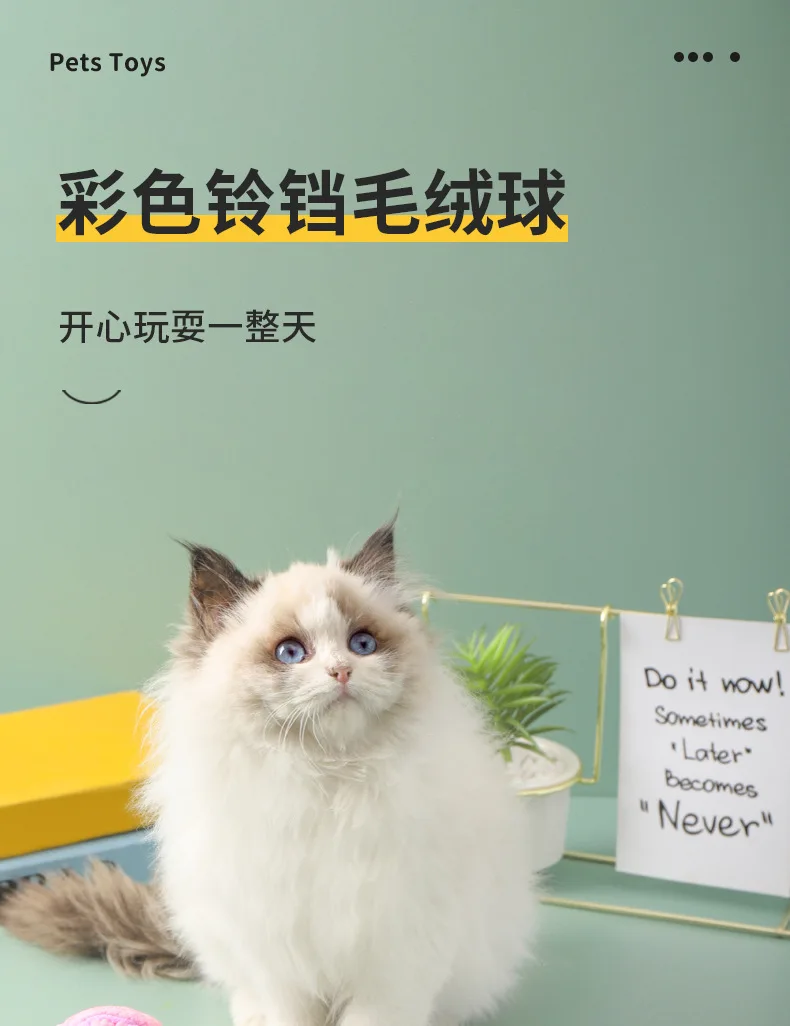 hmqViviiyNSAyin8WuaetxuQbzmy5s63yE4p