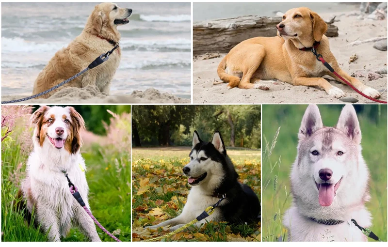 Reflective Nylon Round Dog Leash For Safe Walking And Control_voghion.com