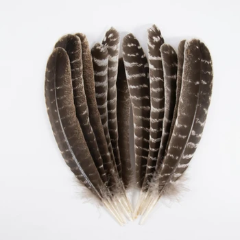 🪶 Natural Turkey Feathers – 10pcs Craft & Ritual Decoration Set 1