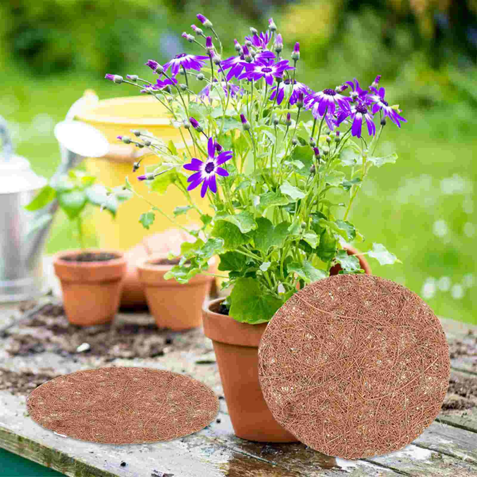 

12 Pcs Plant Coconut Palm Mat Hanging Basket Liners Potted Flower Fiber Flowerpot