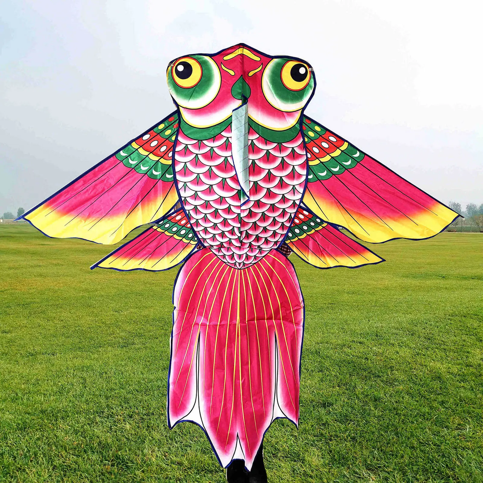 Cerf-volant Avion De Chasse (lot De 2) - Grand Format, Queue 145 Cm, Ficelle 100 M - Pour Enfants Et Adultes
