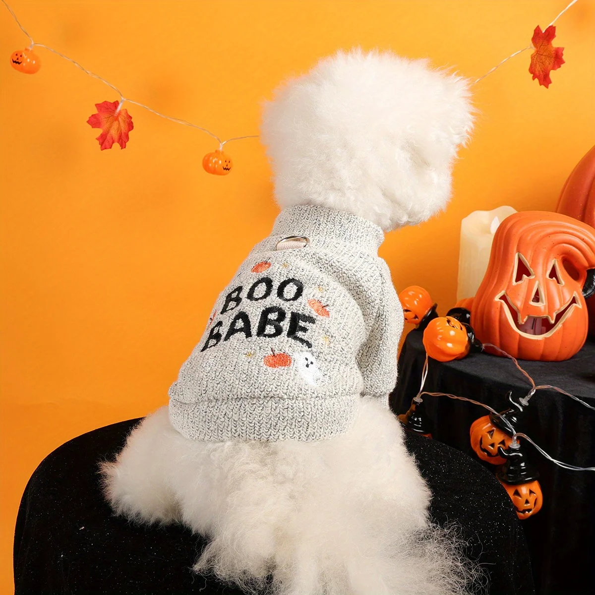 Halloween Pumpkin Ghost Pet Pullover 2