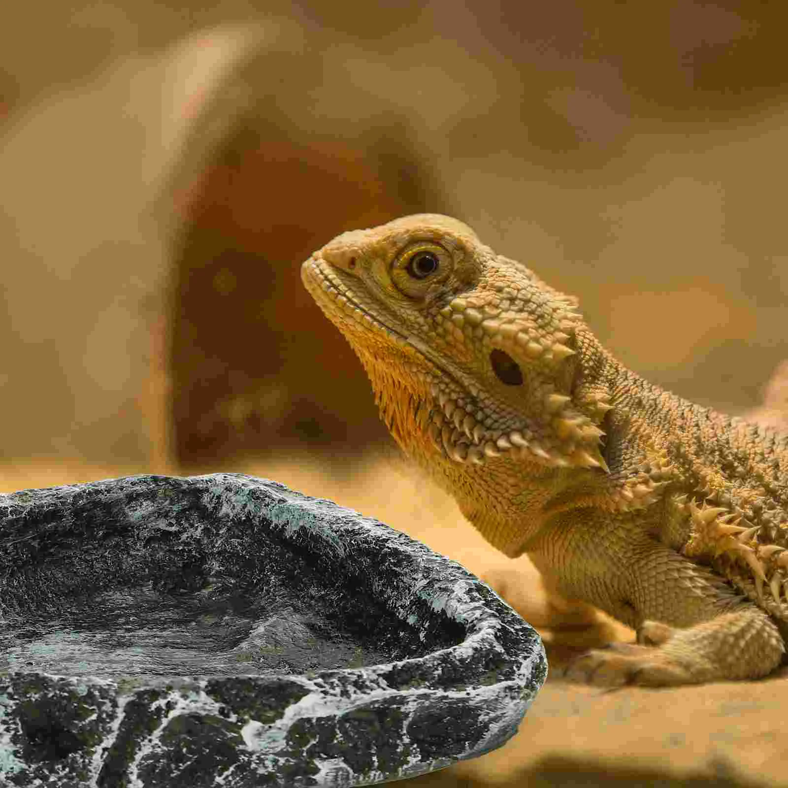 Reptile Hammock Fogger Water Basin Pet Feeding Container Food Bowl Spider Terrarium Resin Tortoise Crawling Holder