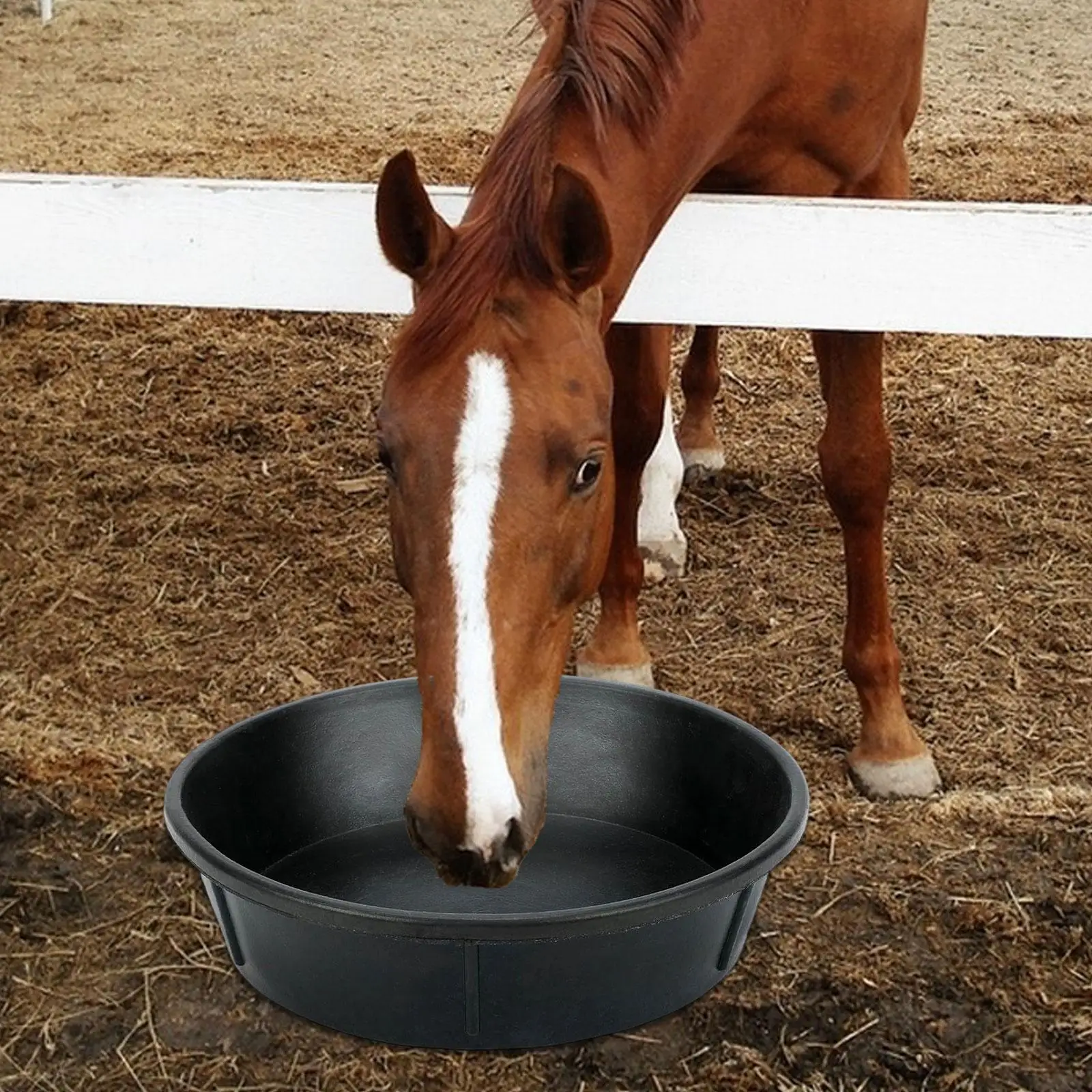 Horse feed Bucket Multipurpose Supply Utility Bucket Feeding Container feed Trough for Outside Farm Backyard Outdoor Ranch