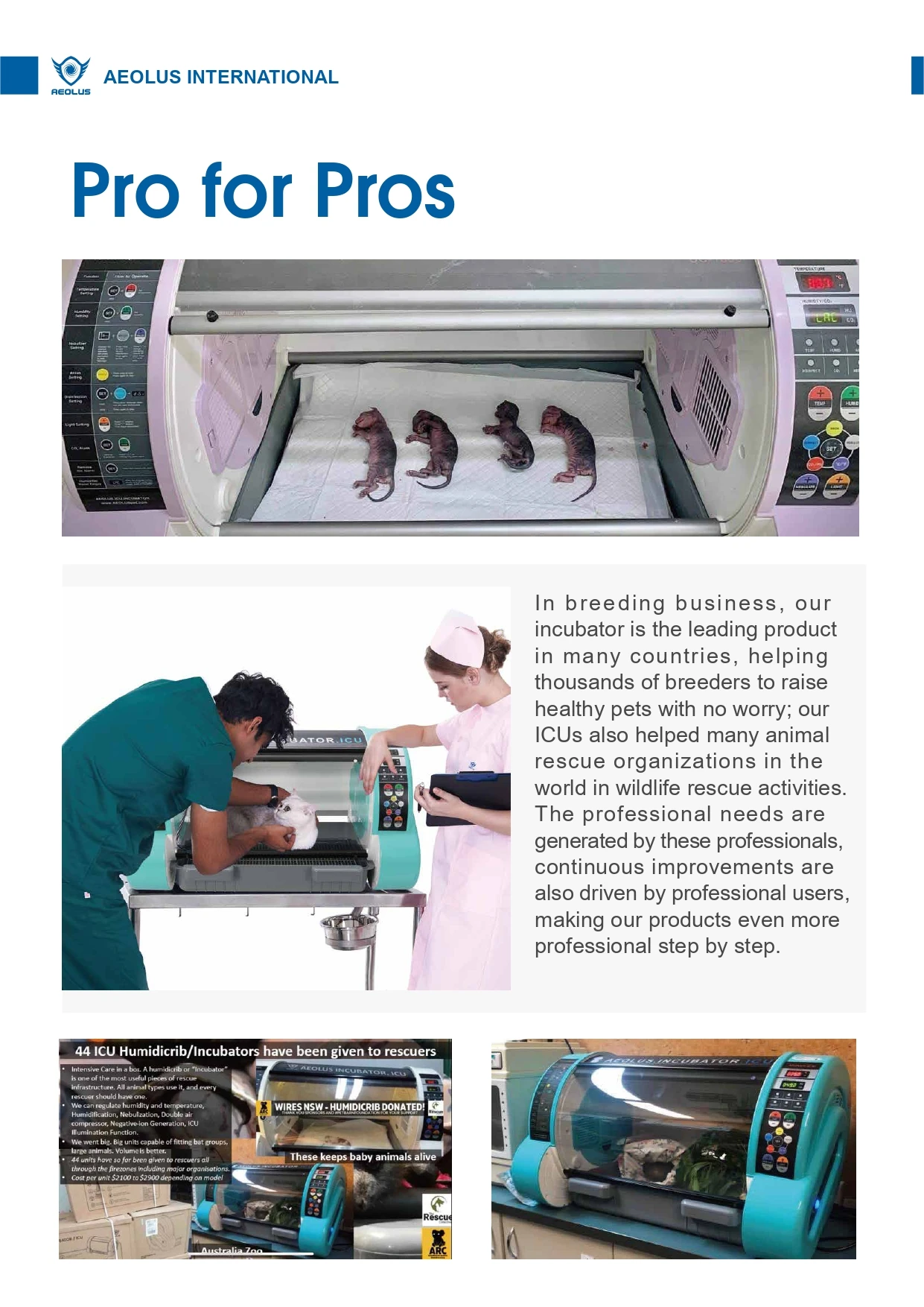 Dog Underwater Treadmill Pet Hydrotherapy Treadmill Dog Treadmill for Home And Beyond