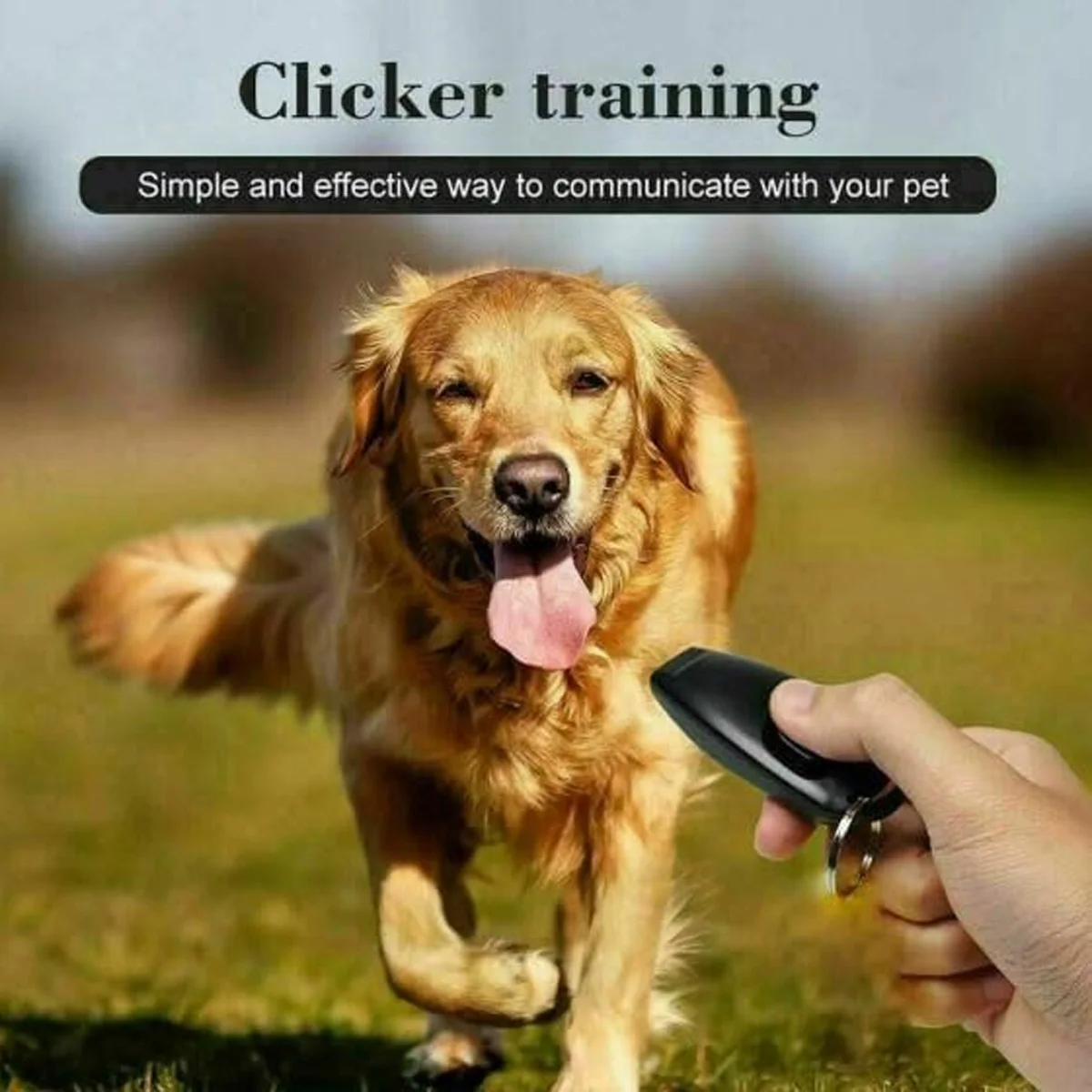 2-In-1 Pet Training Whistle And Clicker Dog Training Product With Sound Dog Clicker With Wristband Pet Behavior Trainin dog whistle,dog clicker
