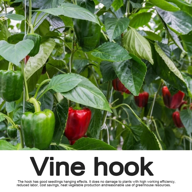 Paradicsomos Támogatás J Horgos Paradicsomnövény Tartó Kötőanyag Zöldségek Szorítógátló Horgok - Image 2