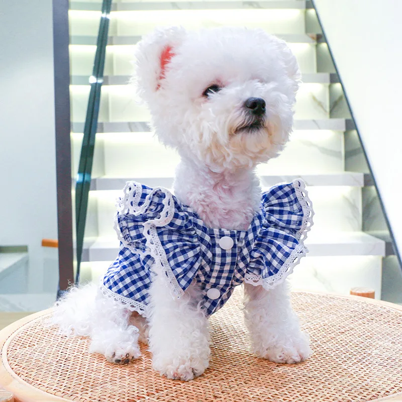 Blue Plaid