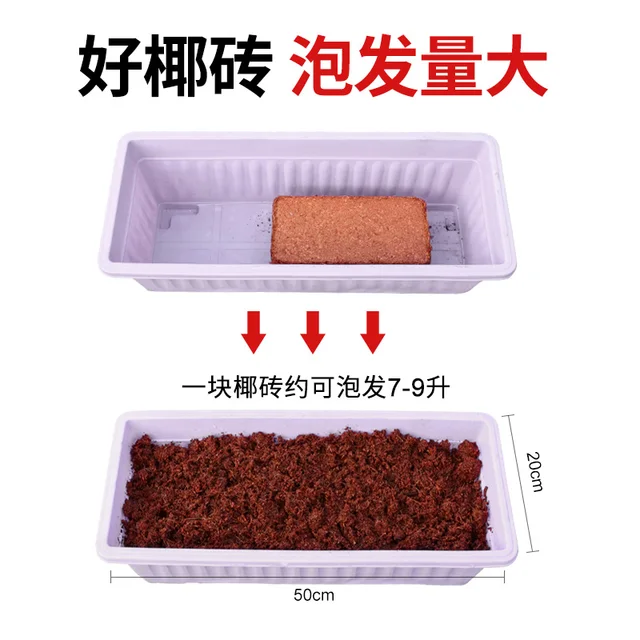 650 G Kókuszdió -Tégla Tápanyag Talaj Univerzális Típusú Virágtenyésztés Zöldség Sótalanított Virág Tégla Teknős - Image 3