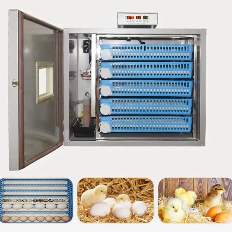 Innard Poultry Machine S3a5b508945ca4c03b7028037685682f7m.jpg