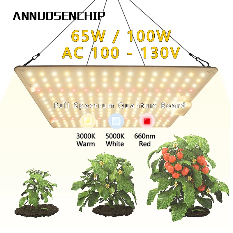 

100W 65W LED Plant Grow Light AC 100-130V Full Spectrum Quantum Lamp Panel For Indoor Greenhouse Fruit Vegetable Floriculture