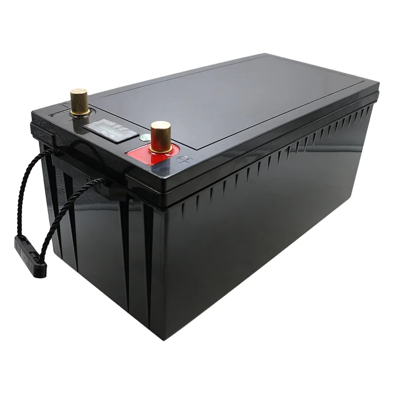 12 24 48 V Volt 12V Batterie Agli Ioni Di Litio Po4 300 Ah 24Volt Batteria 300Ah
