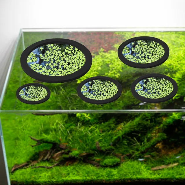 10 Anelli Galleggianti Per Piante Acquario - Rotondi E Quadrati, Schiuma EVA, Per Alimentazione Pesci - Foto 10