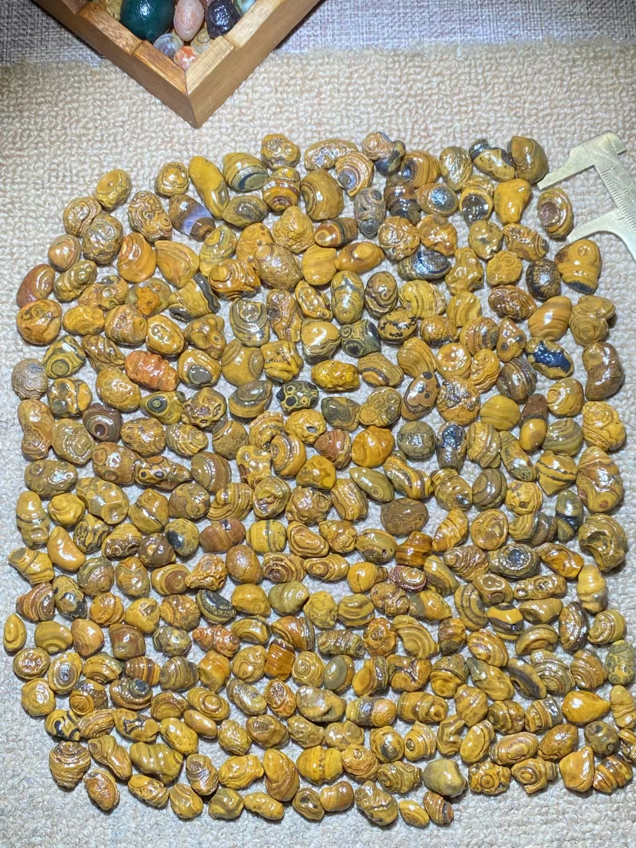 277pcs/lot boutique natural three-dimensional relief surface coin eye stone loose beads Gobi agate grain Pretty rare